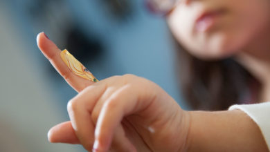 Photo of Çocukluk çağı romatizması ihmale gelmez