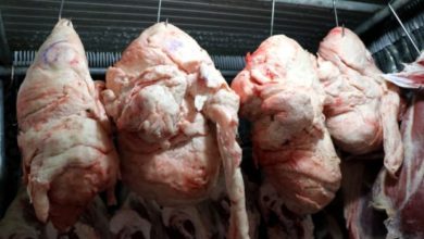 Photo of Kuyruk yağından uzak durun!