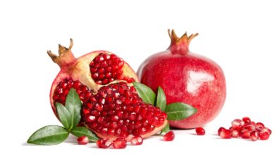 Photo of Koronaya karşı ‘nar kabuğu özütü’ pastil