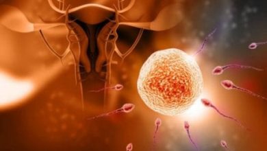 Photo of Tüp bebek mi yoksa aşılama mı?