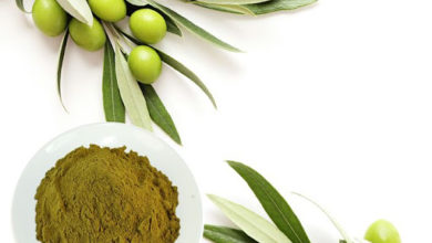 Photo of Alzheimera karşı zeytin ekstresi