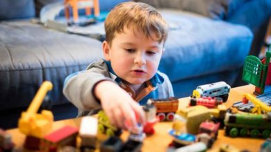 Photo of Demir eksikliği IQ’yu düşürüyor