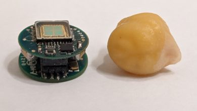 Photo of Endoskopi yerine yutulan kapsül