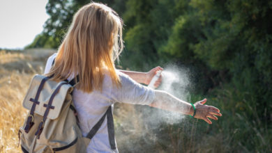 Photo of Böcek, sinek ve arı sokmasında ne yapmalı?