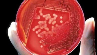 Photo of Gonore bebeğe de bulaşabiliyor